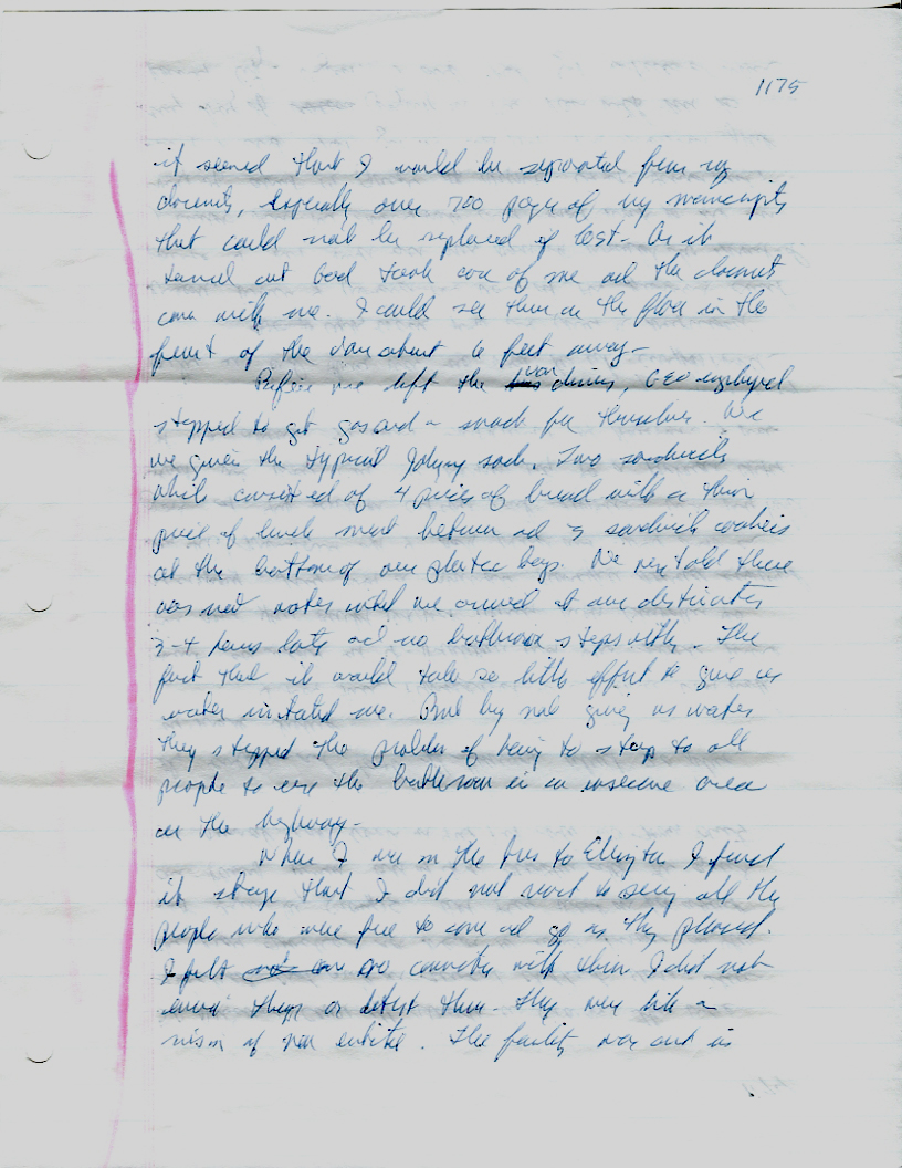 Dr John WorldPeace 2008 Prison Journal